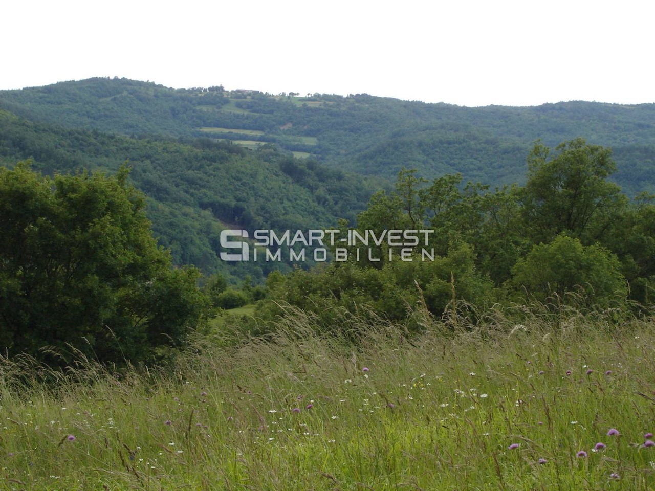 ISTRIA, HUM - BUZET, Two old houses of 500 m2 on land of 19.600 m2