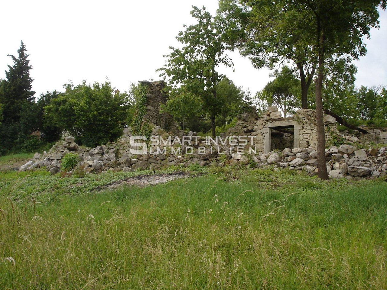 ISTRIA, HUM - BUZET, Two old houses of 500 m2 on land of 19.600 m2