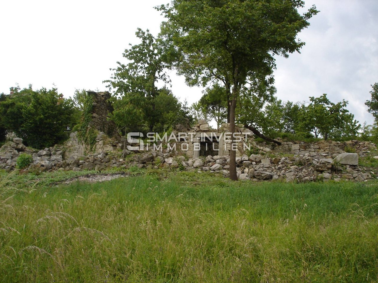 ISTRIA, HUM - BUZET, Two old houses of 500 m2 on land of 19.600 m2