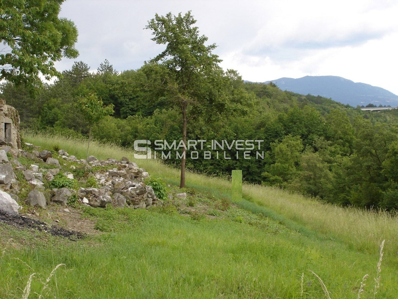 ISTRIA, HUM - BUZET, Two old houses of 500 m2 on land of 19.600 m2