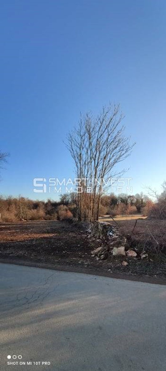 ISTRIA - POREČ vicinity, BUILDING LAND OF 7.235 m2