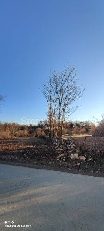 ISTRIA - POREČ vicinity, BUILDING LAND OF 7.235 m2