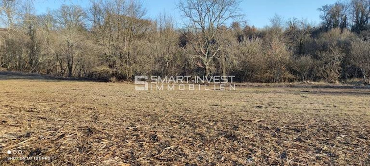 ISTRIA - POREČ vicinity, BUILDING LAND OF 7.235 m2