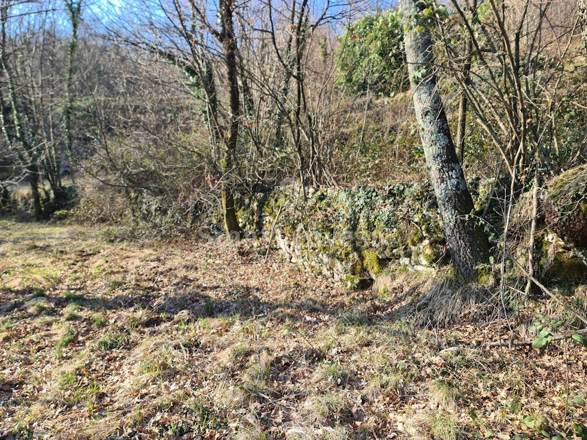 Terreno Rukavac, Matulji, 1.160m2