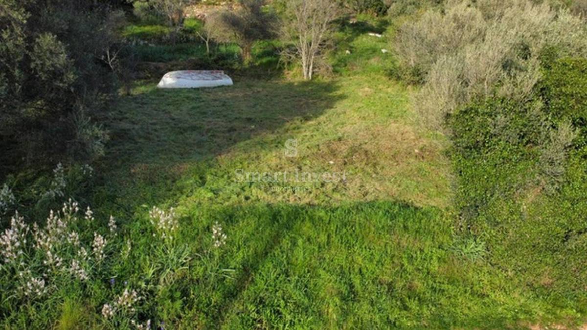 ISTRIA - ALBONA, terreno edificabile vicino al mare