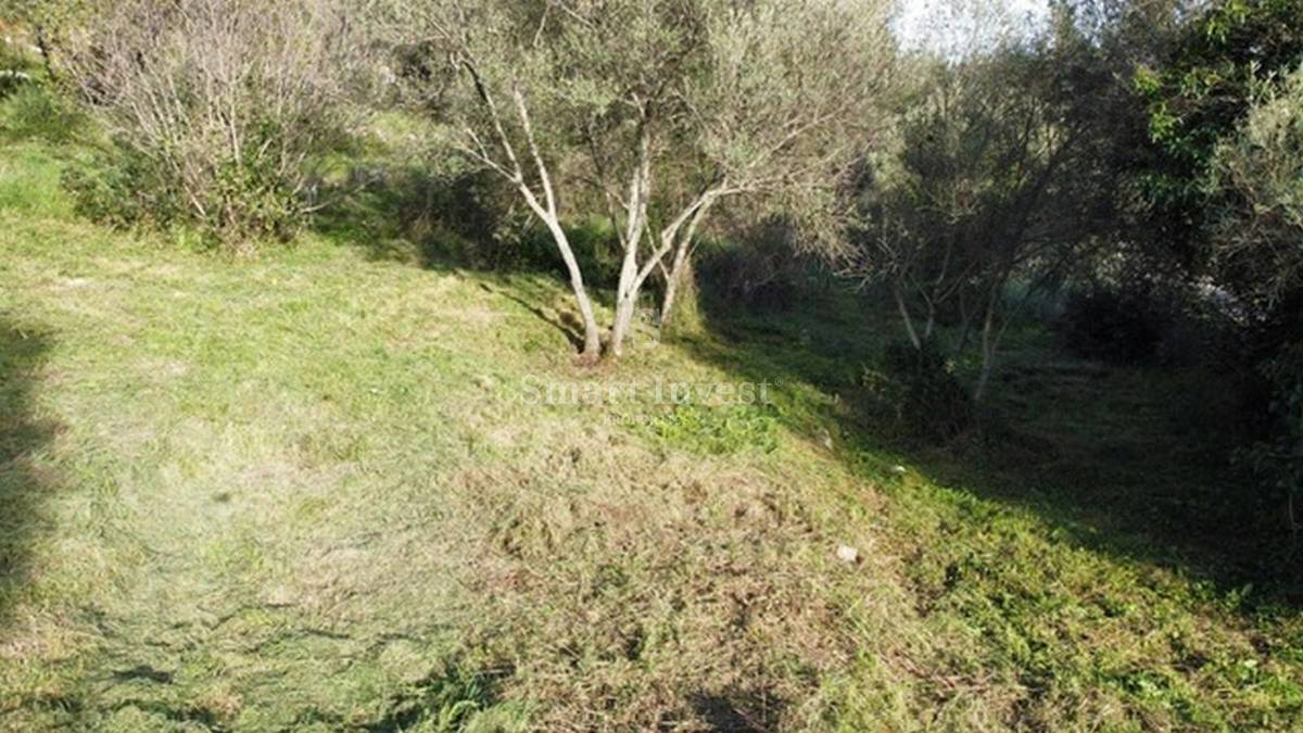 ISTRIA - ALBONA, terreno edificabile vicino al mare