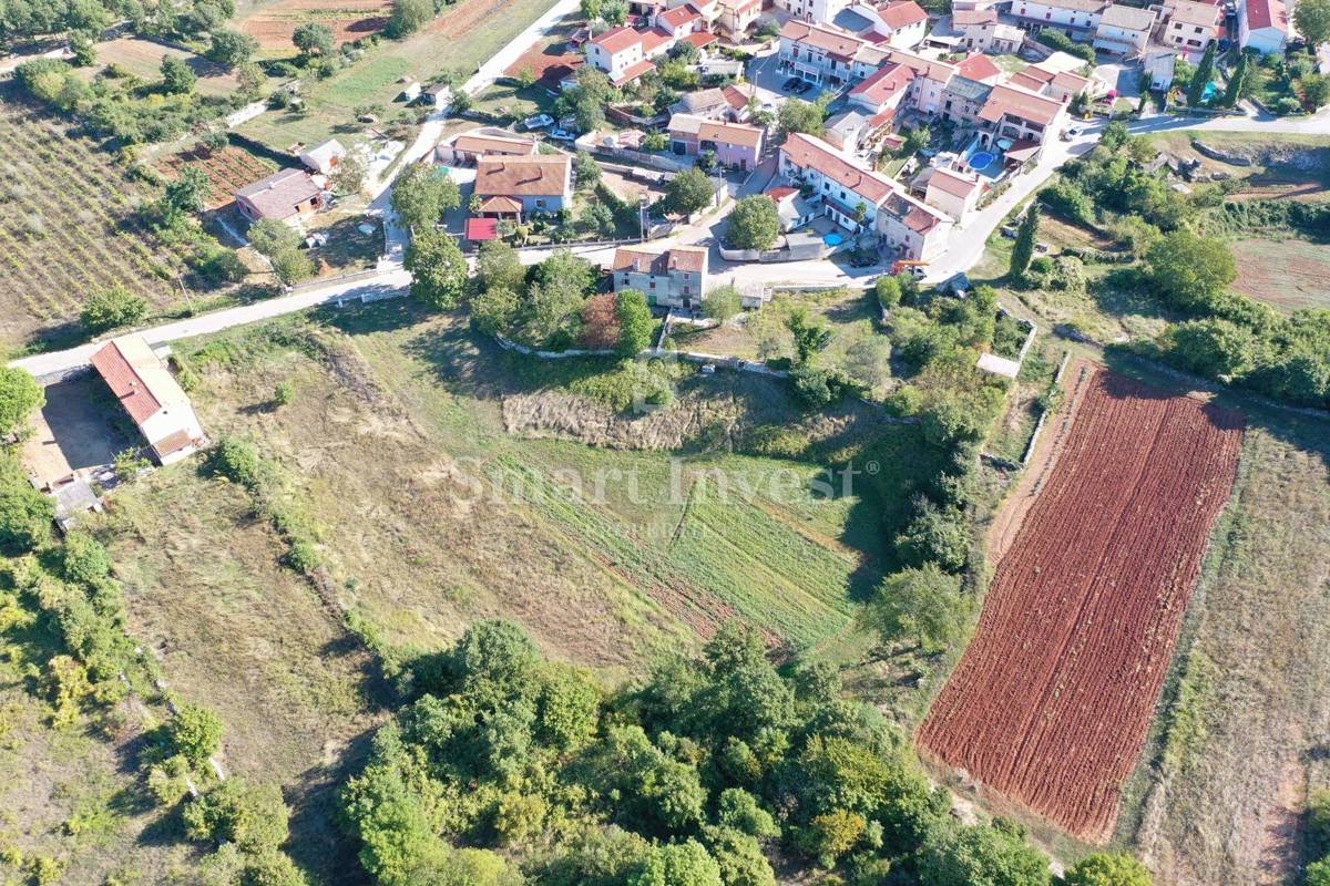 ISTRIA - KANFANAR, vecchia casa su un terreno di 6166 m2