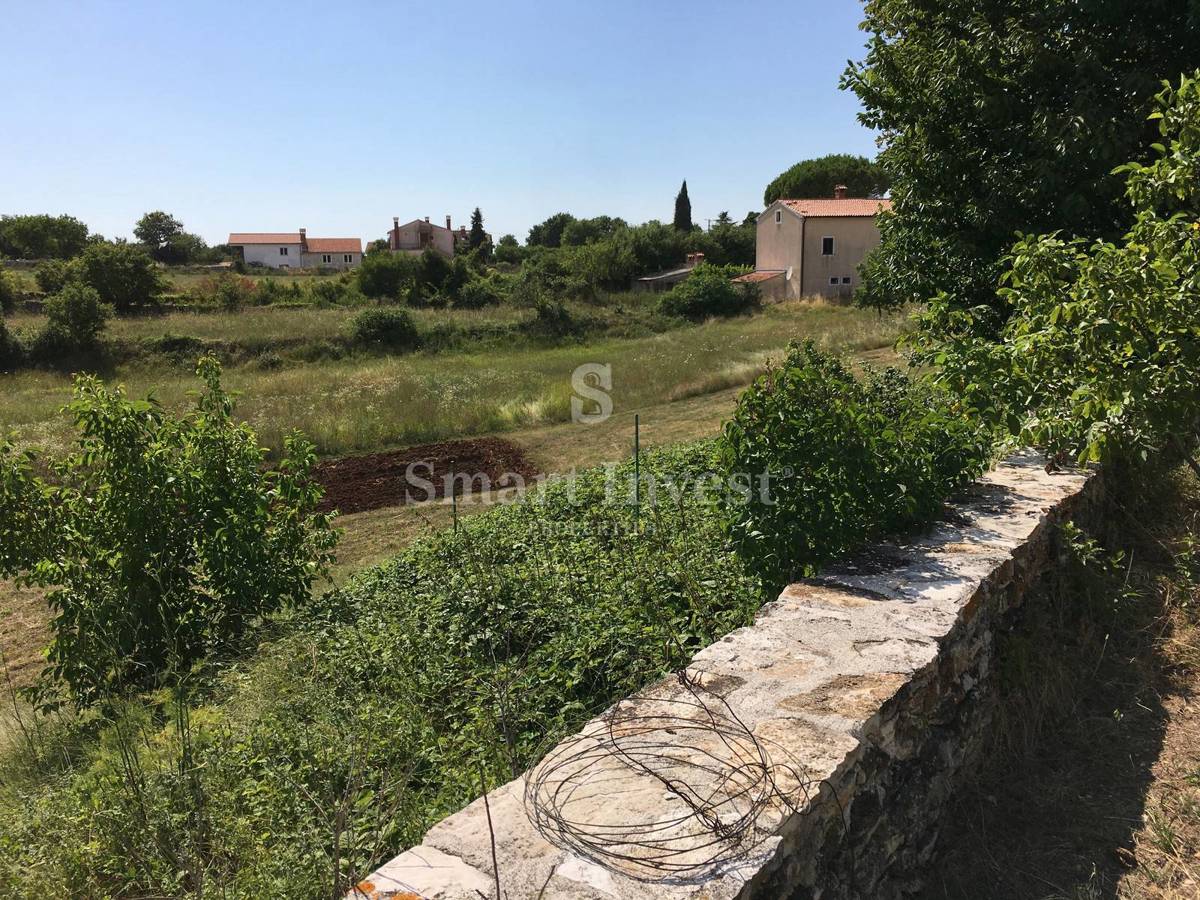 ISTRIA - KANFANAR, vecchia casa su un terreno di 6166 m2