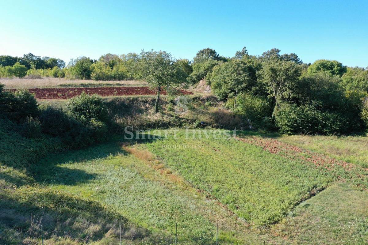 ISTRIA - KANFANAR, vecchia casa su un terreno di 6166 m2