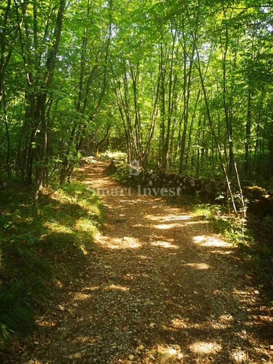 Terreno Viškovo, 6.039m2