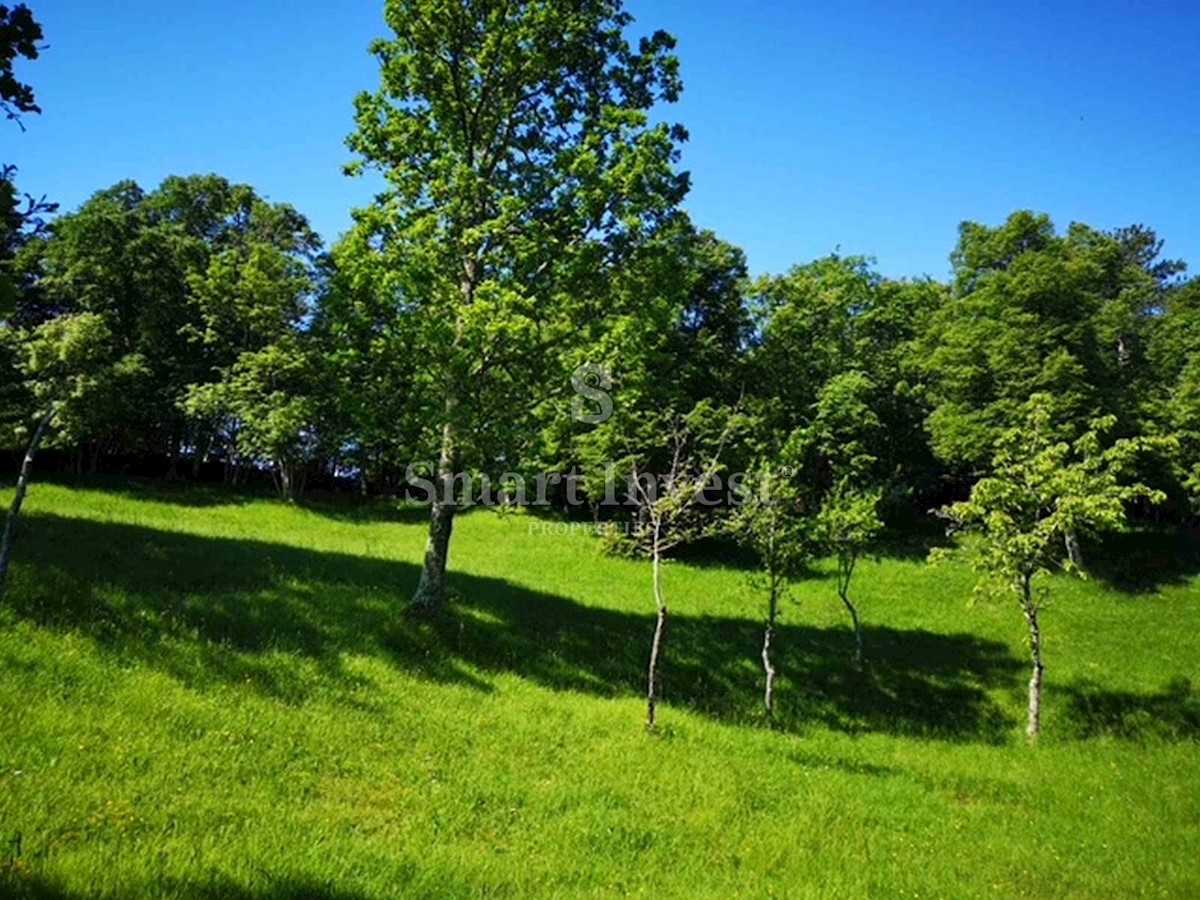 Terreno Viškovo, 6.039m2