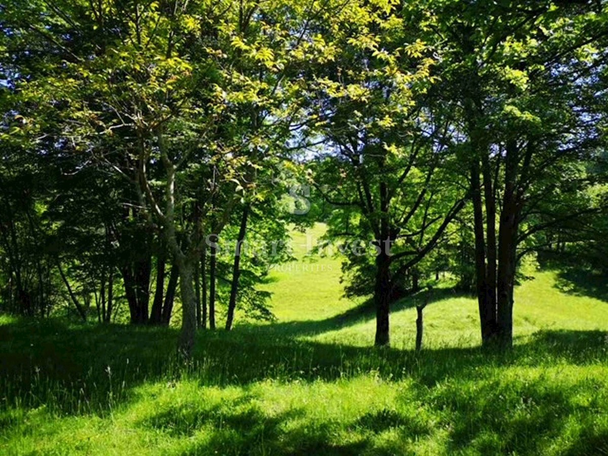 Terreno Viškovo, 6.039m2