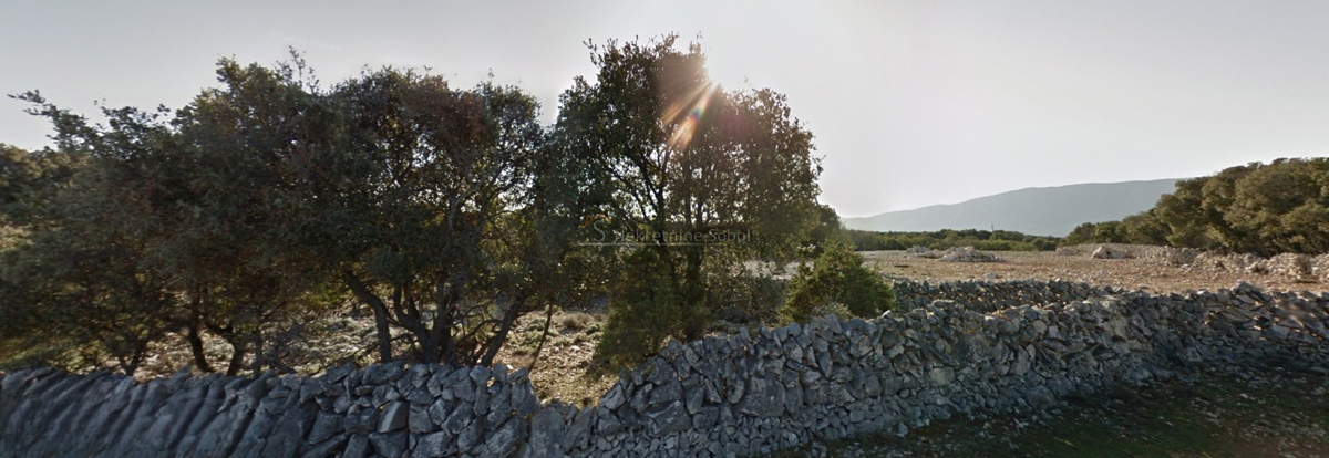 Punta Križa, Isola di Cres - Terreno, 95162 m2