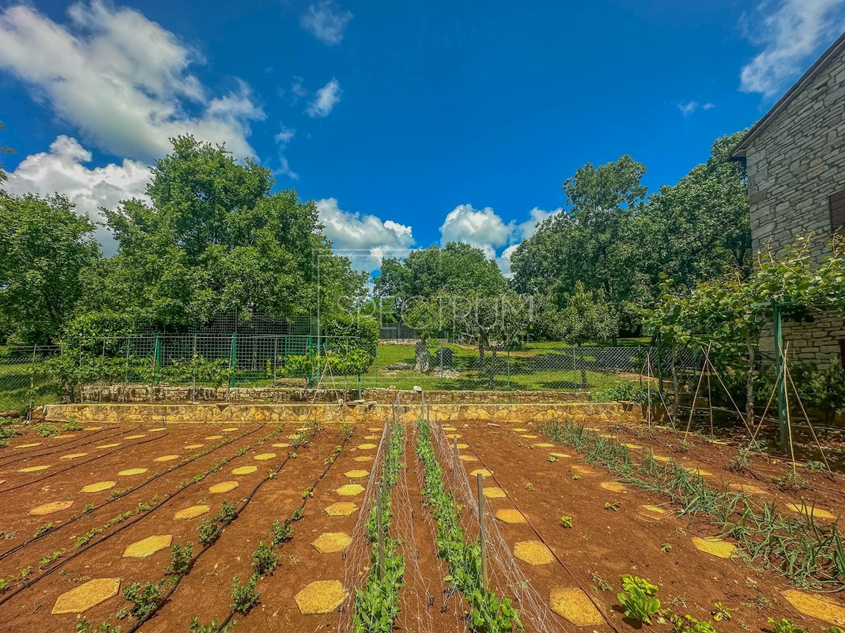 Dintorni di Grisignana, casa in pietra con ampio giardino