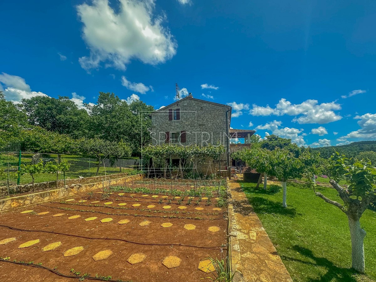 Dintorni di Grisignana, casa in pietra con ampio giardino