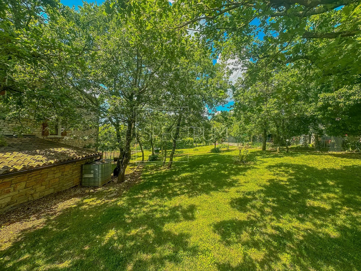 Dintorni di Grisignana, casa in pietra con ampio giardino