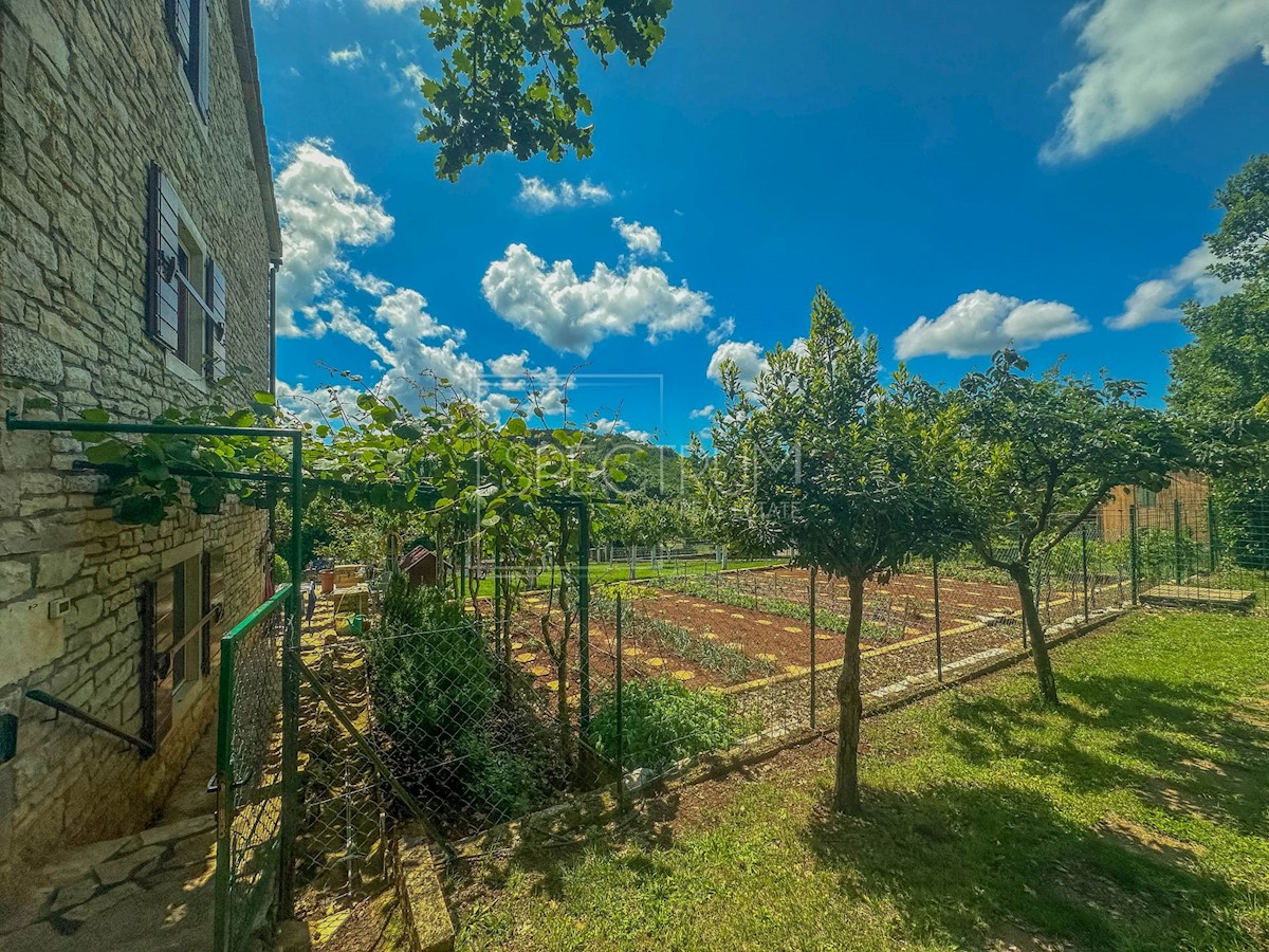 Dintorni di Grisignana, casa in pietra con ampio giardino