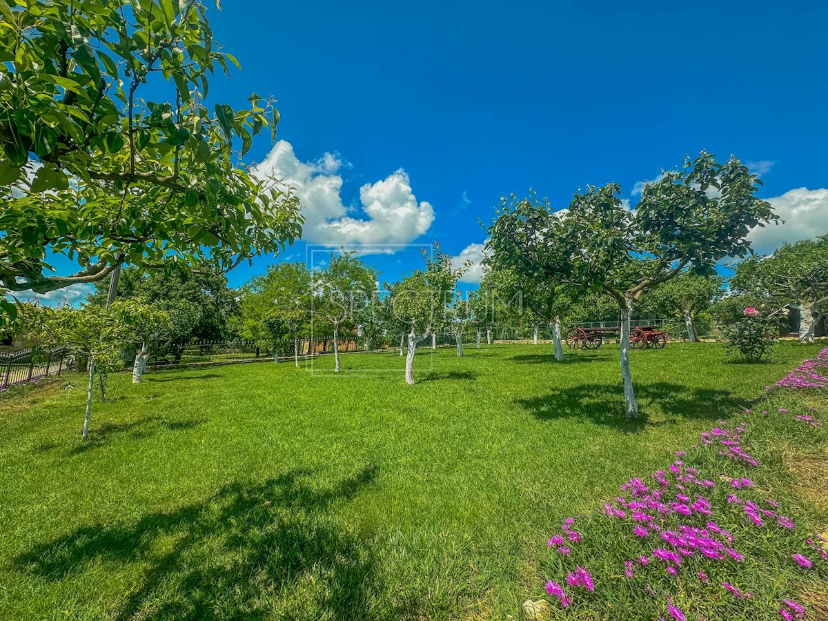 Dintorni di Grisignana, casa in pietra con ampio giardino