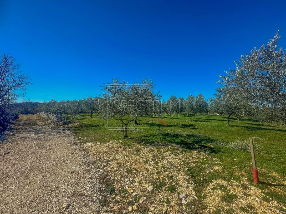Zona di Buie, terreno edificabile con potenziale