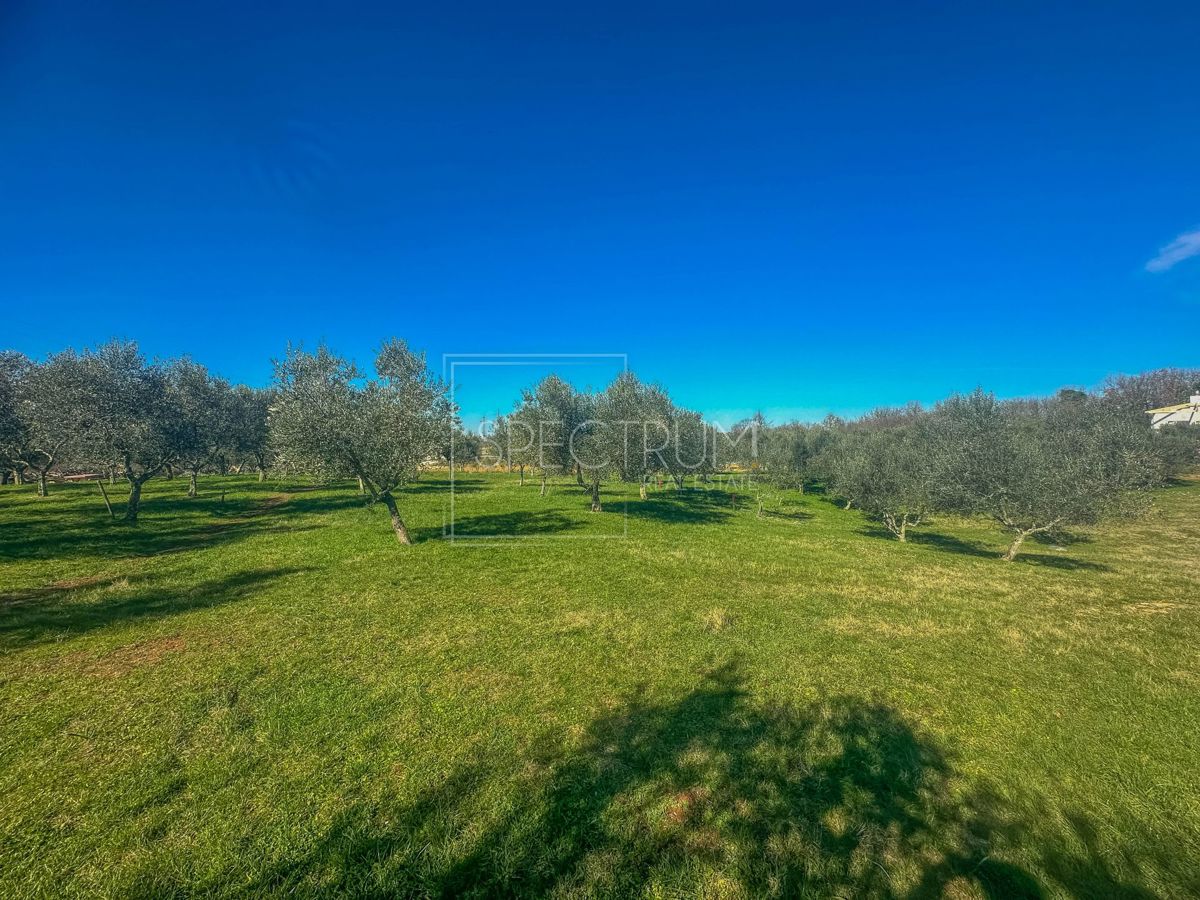 Zona di Buie, terreno edificabile con potenziale