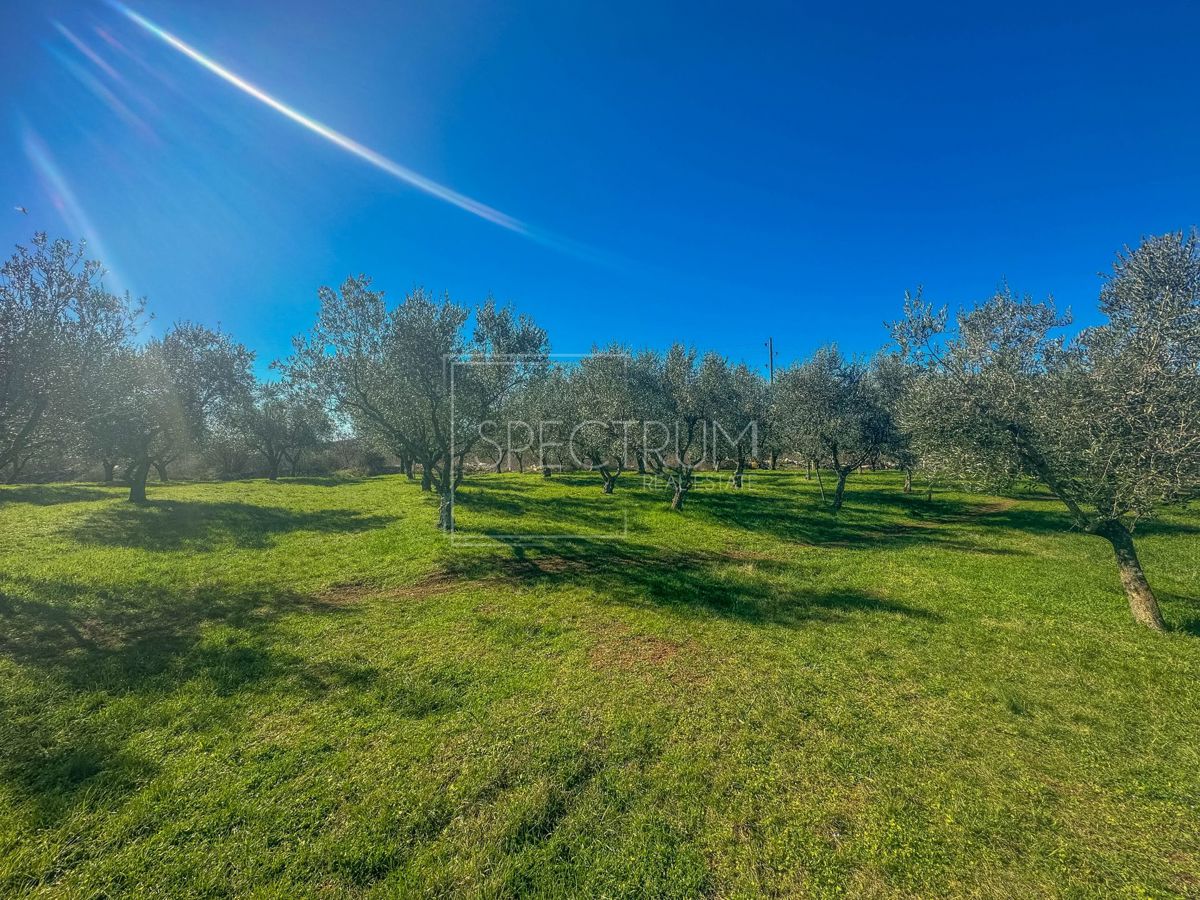 Zona di Buie, terreno edificabile con potenziale