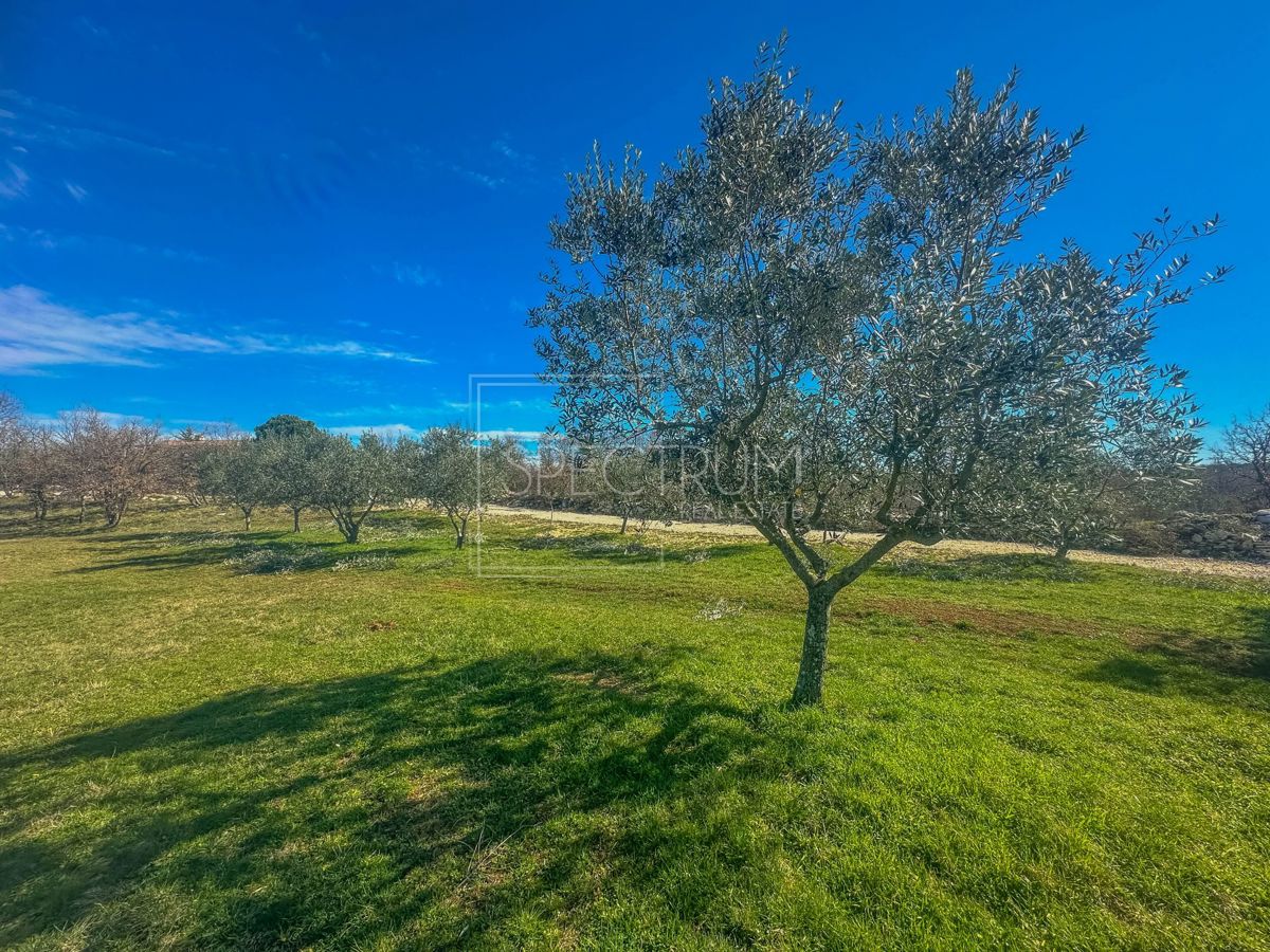 Zona di Buie, terreno edificabile con potenziale