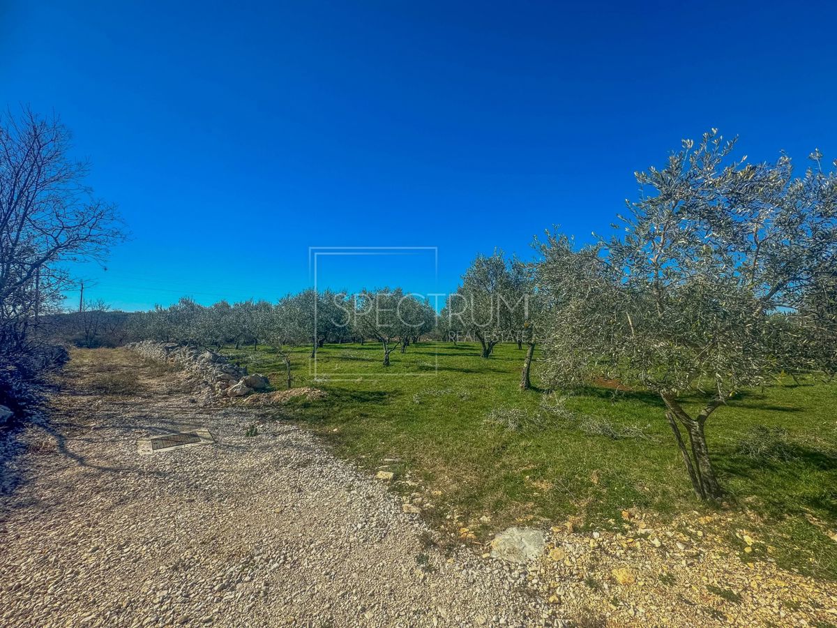 Zona di Buie, terreno edificabile con potenziale