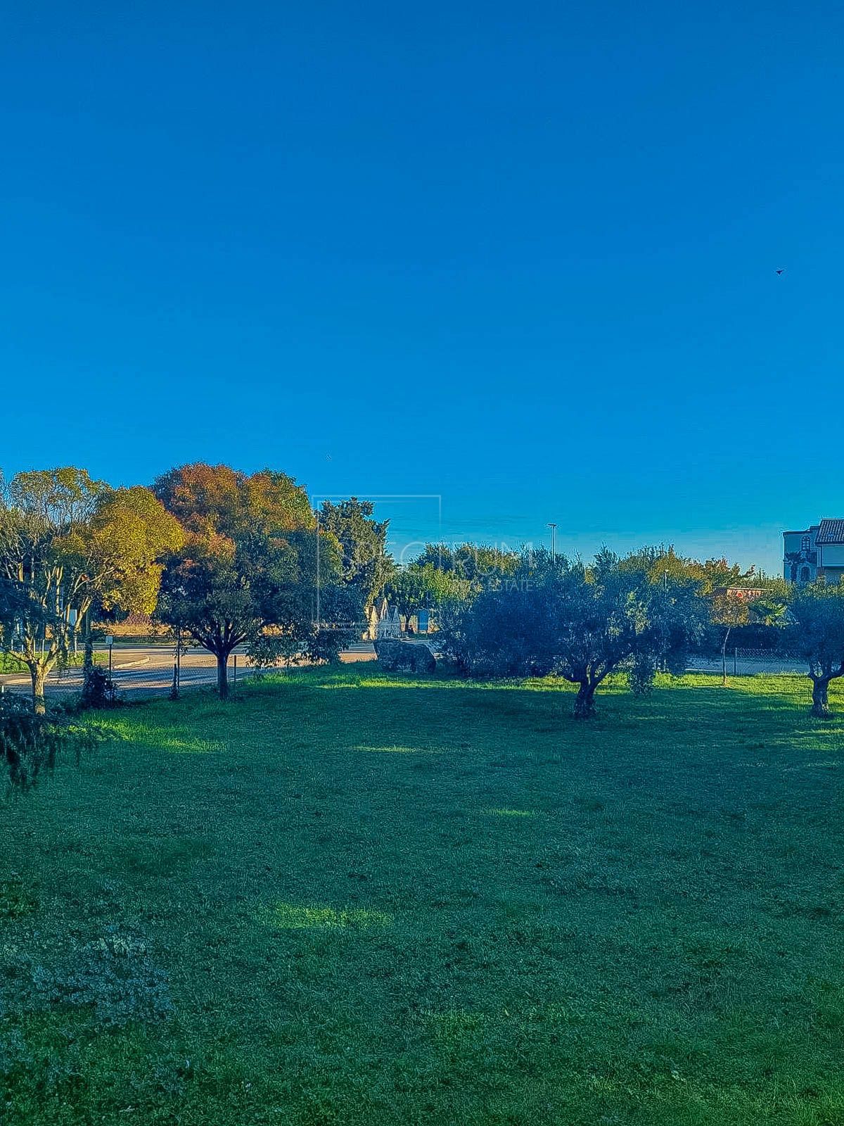 Zona Cittanova, appartamento con ampio balcone a 500 metri dal mare