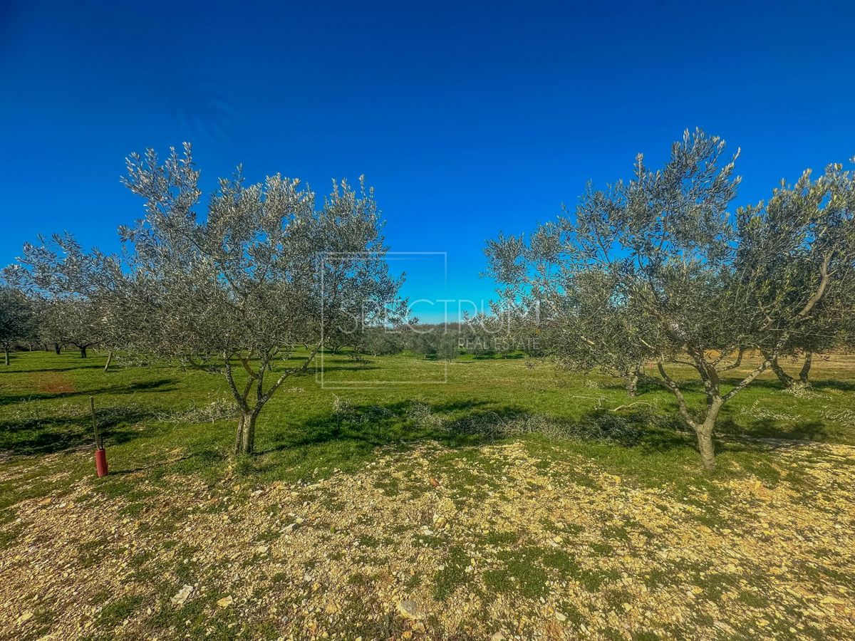 Zona di Buie, terreno edificabile in posizione tranquilla