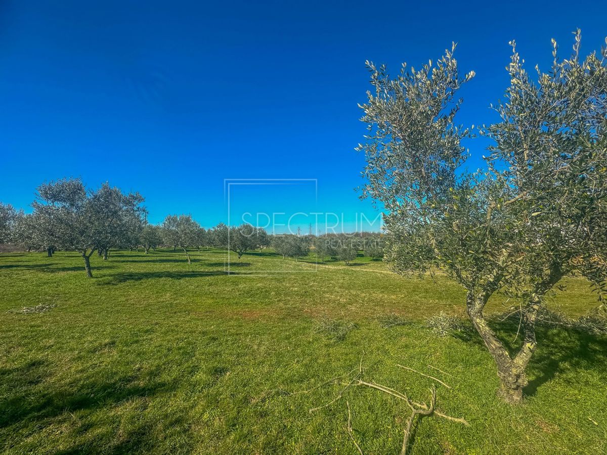 Zona di Buie, terreno edificabile in posizione tranquilla