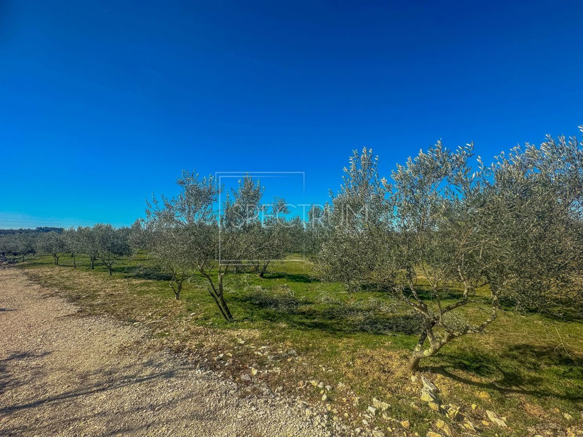 Zona di Buie, terreno edificabile in posizione tranquilla