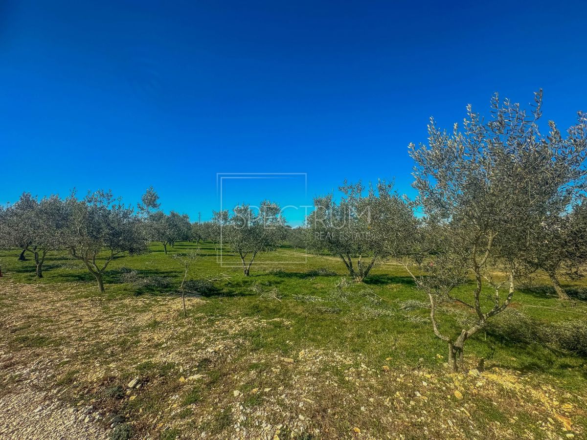 Zona di Buie, terreno edificabile in posizione tranquilla