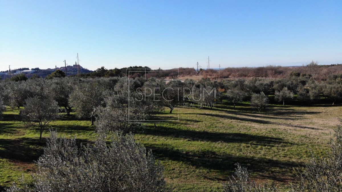 Zona di Buie, terreno edificabile in posizione tranquilla