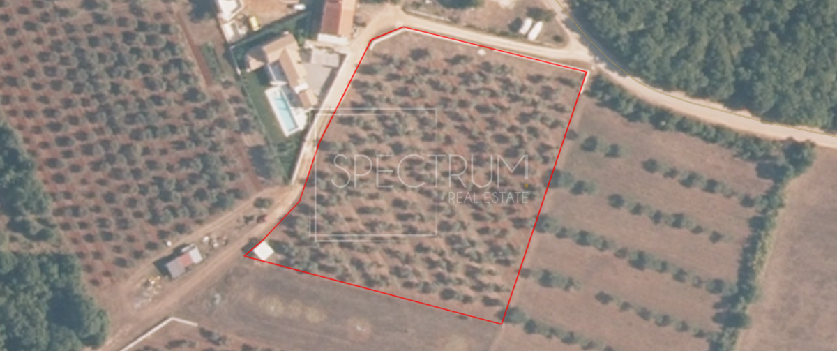 Zona di Umago, ampio terreno per investimento!