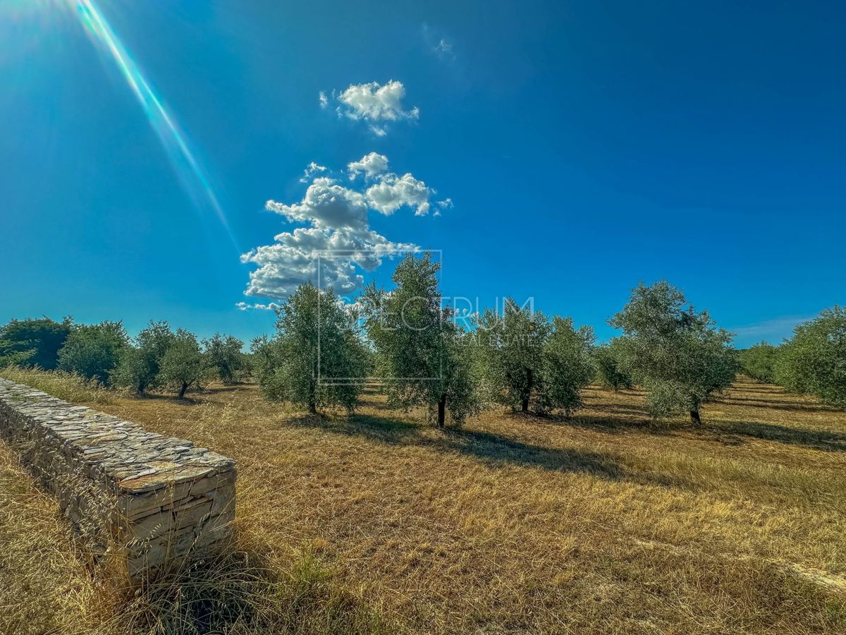 Zona di Umago, ampio terreno per investimento!