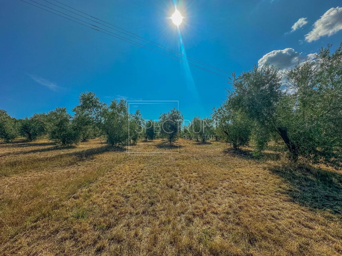 Zona di Umago, ampio terreno per investimento!