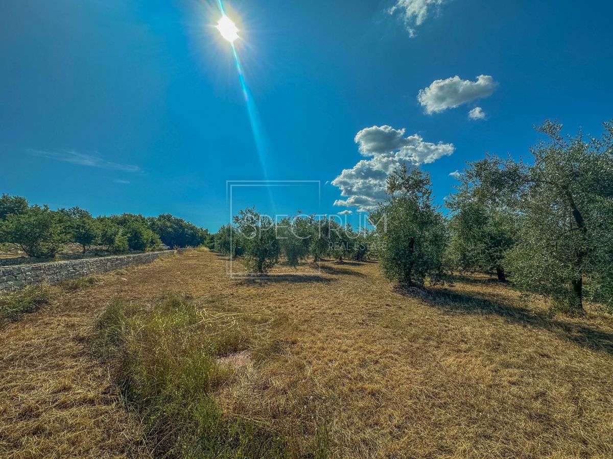 Zona di Umago, ampio terreno per investimento!