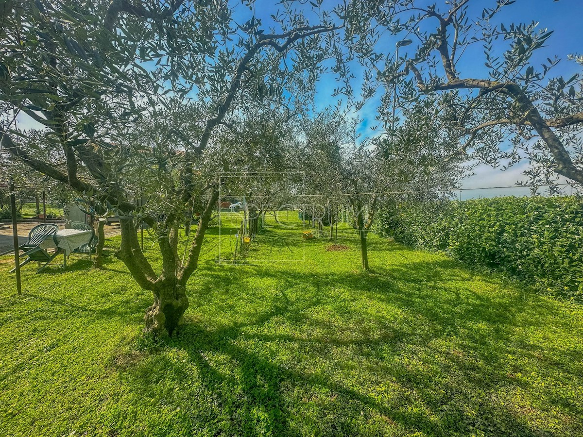 Umago, casa indipendente con ampio giardino