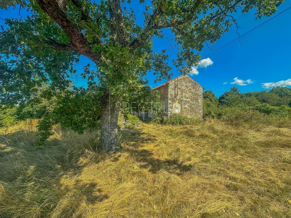 Dintorni di Portole, casa in pietra con terreno in una posizione tranquilla