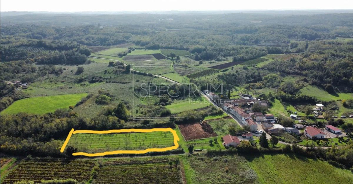 Zona di Visinada, terreno al limite della zona edificabile