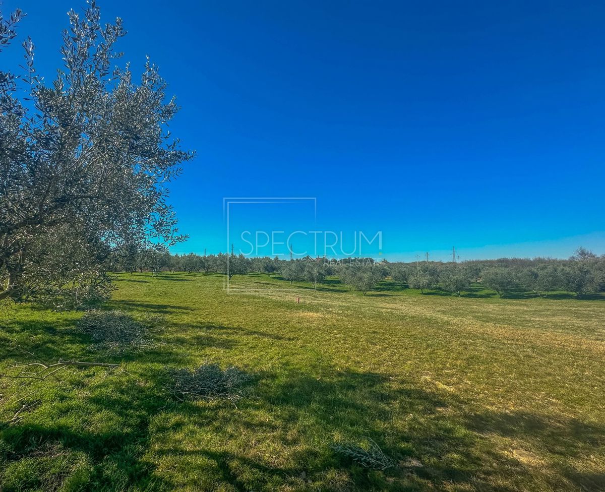 Zona di Buie, terreno edificabile con vista