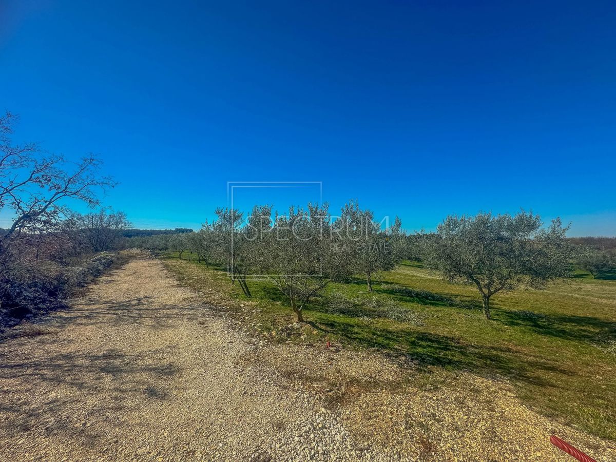 Zona di Buie, terreno edificabile con vista