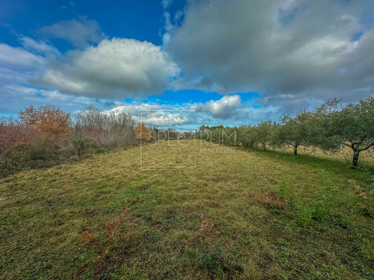 Umago, terreno in posizione ambita con potenziale