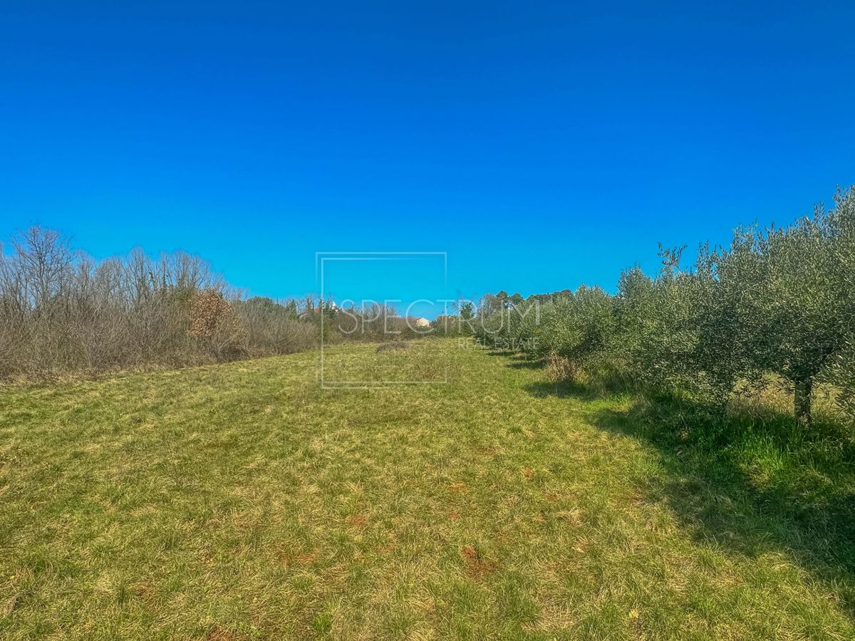 Umago, terreno in posizione ambita con potenziale