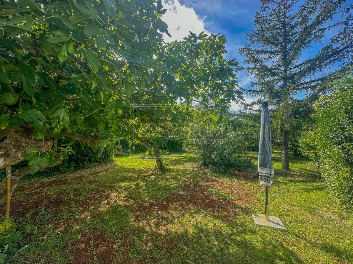 Umago, spazioso appartamento al piano terra in ottima posizione