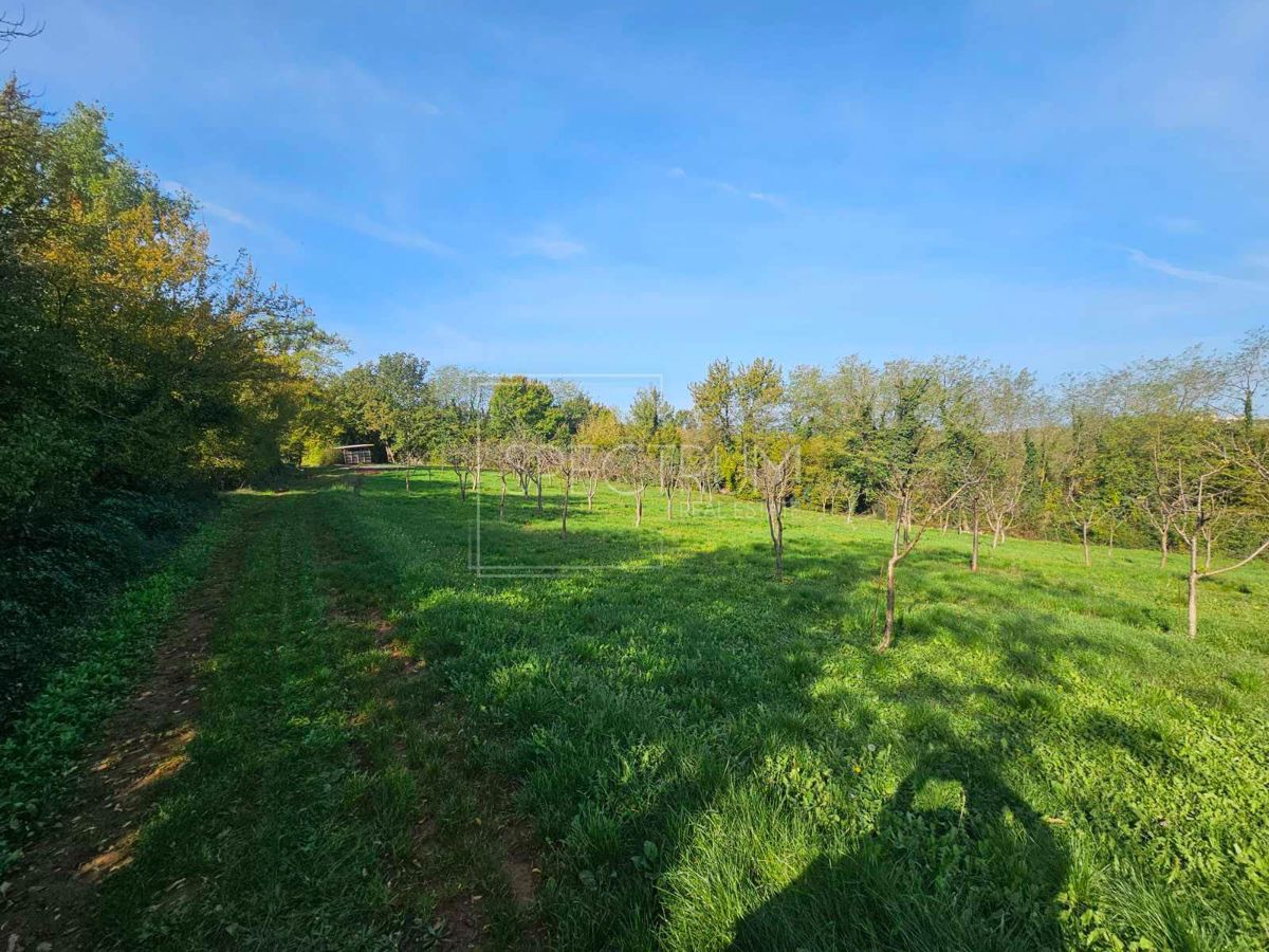 Zona di Visignano, terreno in posizione tranquilla