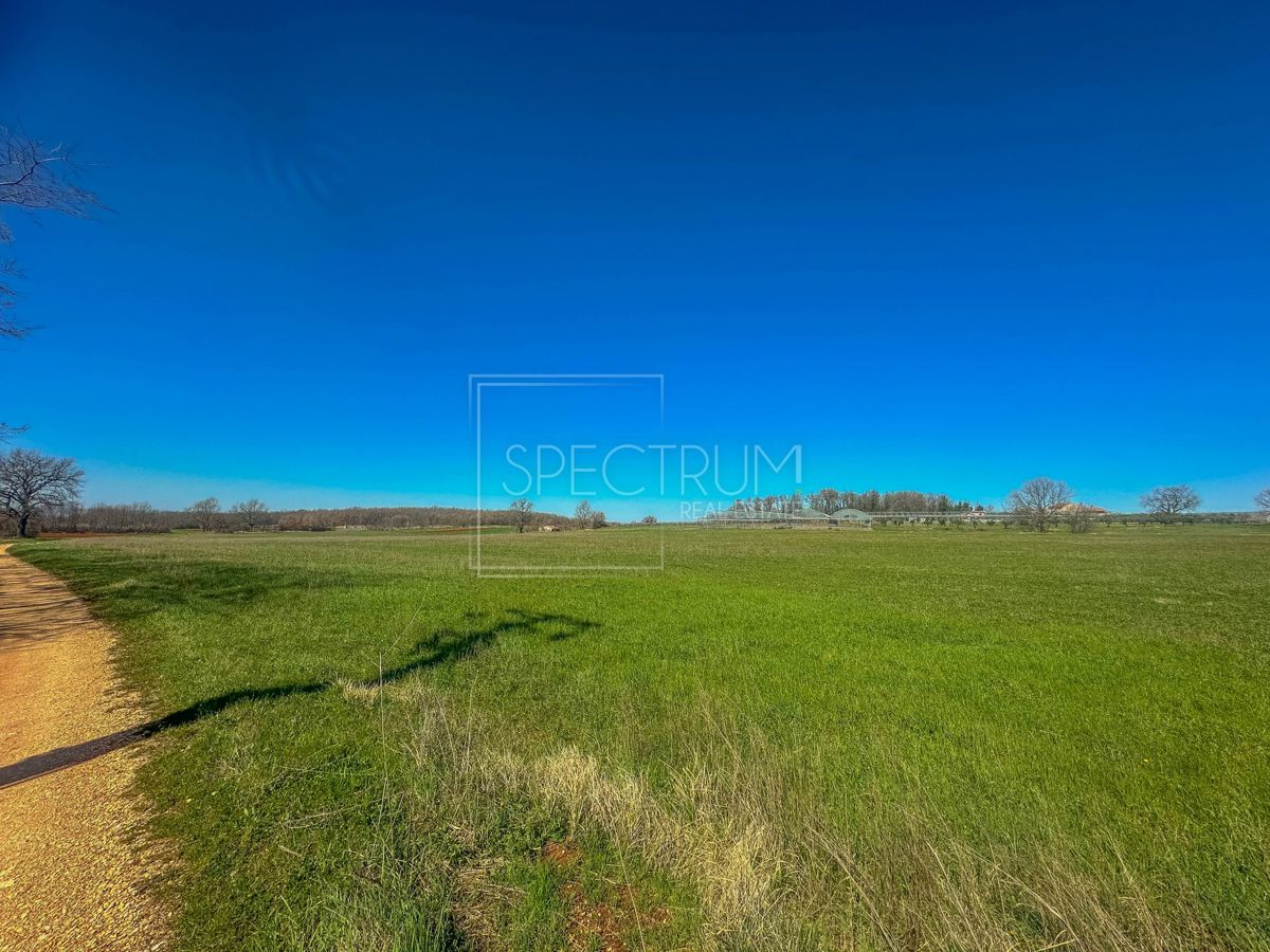 Zona di Castelliere, ampio terreno agricolo in posizione tranquilla