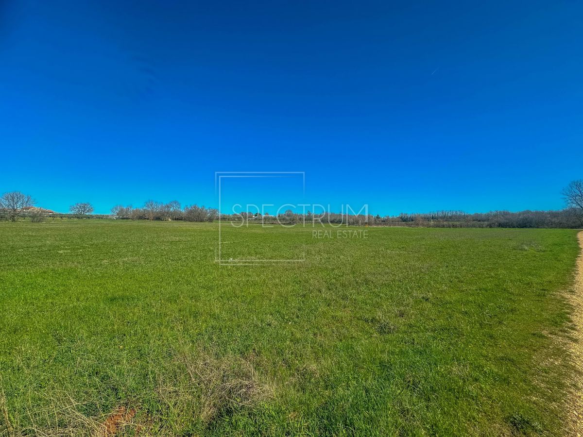 Zona di Castelliere, ampio terreno agricolo in posizione tranquilla
