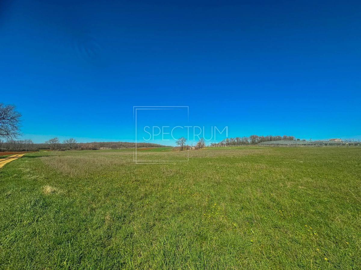 Zona di Castelliere, ampio terreno agricolo in posizione tranquilla