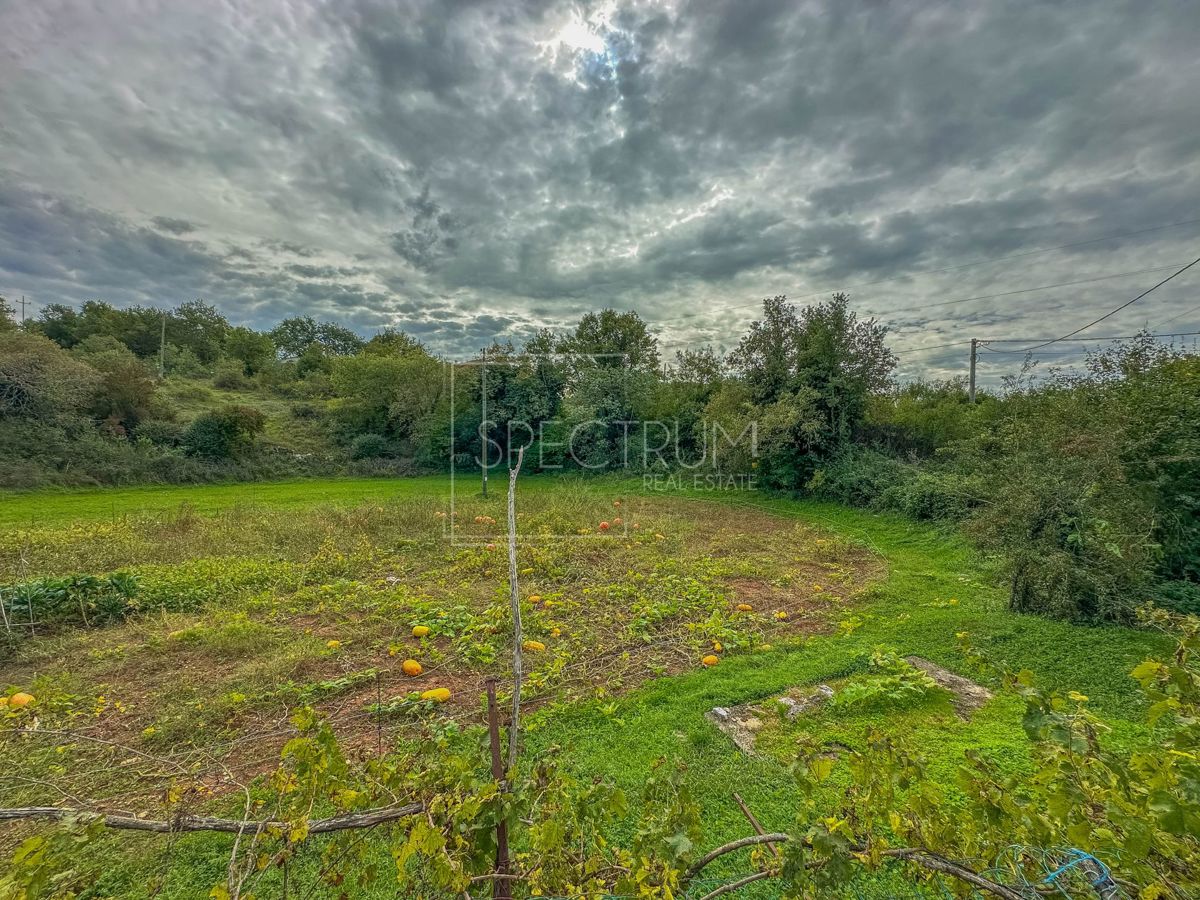 Zona di Grisignana, casa indipendente con ampio terreno